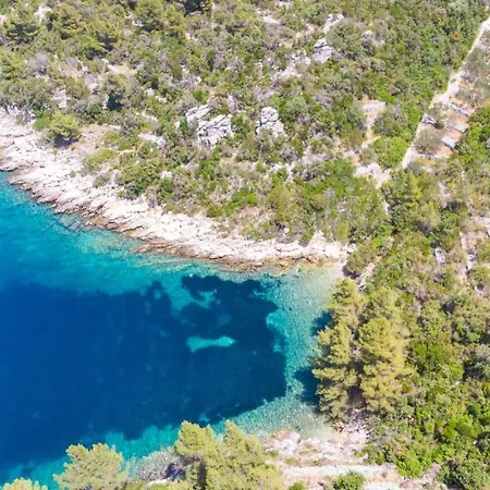 Hébergement de vacances Dragojevic *