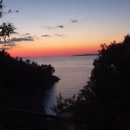 Dragojevic * Vela Luka